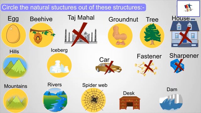 Structures -Types - Examples -Functions