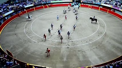 Colômbia sanciona lei que proíbe touradas