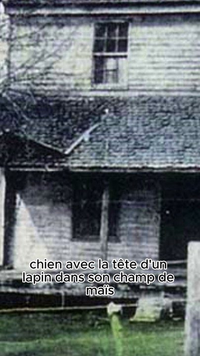 La maison Bell Witch