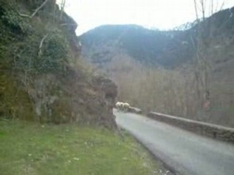 Journée en Espagne et dans les Pyrénées (01)