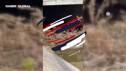 Su kanalına düşen karaca için seferber oldular