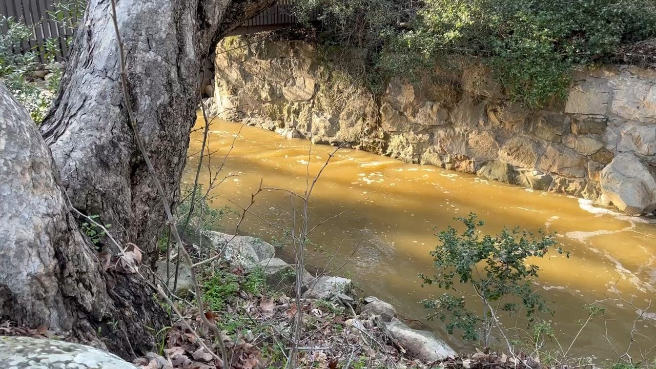The River
