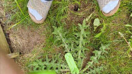 Girl swaps weekend fun for weeding and loves it