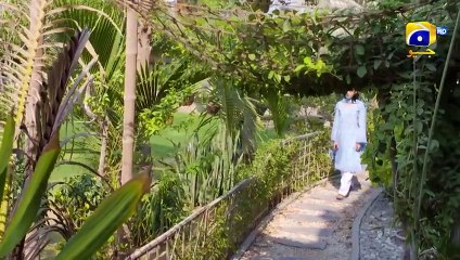 Chaal Episode 51 - [Eng Sub] - Ali Ansari - Zubab Rana - Arez Ahmed - 23rd July 2024 - HAR PAL GEO