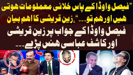 "Faisal Vawda Kay Pas Khalai Malumat Hoti Hen Aur Hum Tu...", Zain Queshi's Big Statement