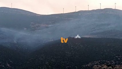 Φωτιά στο δήμο Δελφών