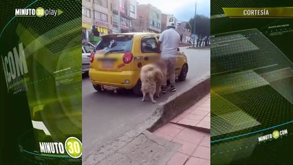 Indignación en redes por video que mostraría como estarían abandonando a un perrito en plena vía