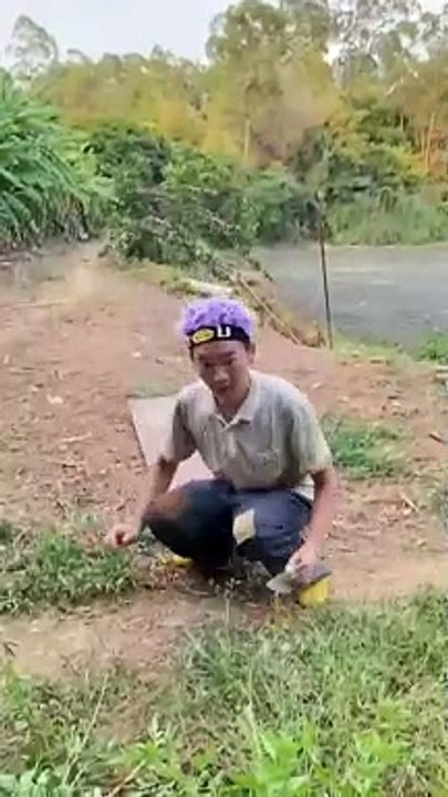 Entertainment