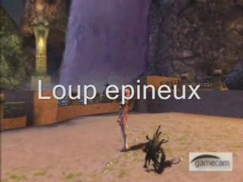 Guildwars Minipet collection