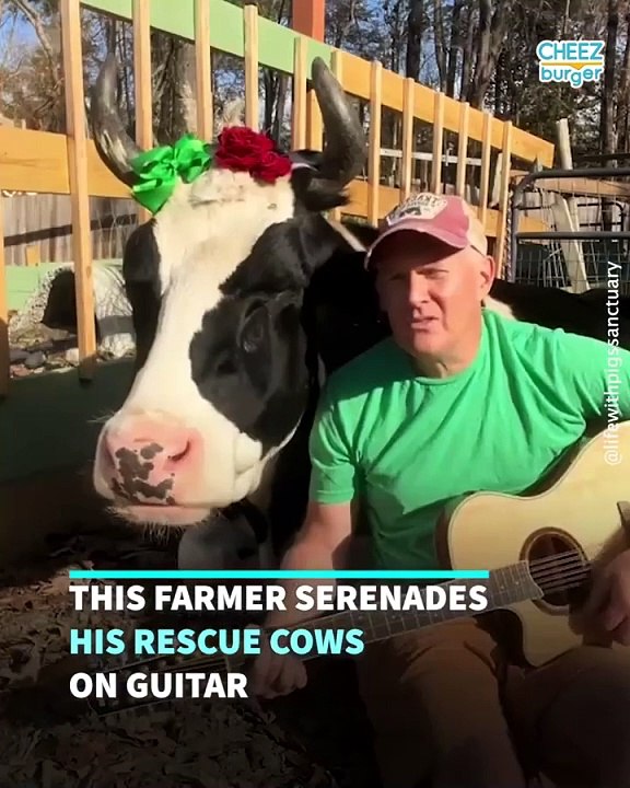 This Guitar-Strumming Farmer Loves Singing To His Cows