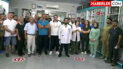 Veteriner Hekim Darbedildi, Şüpheliler Serbest Bırakıldı
