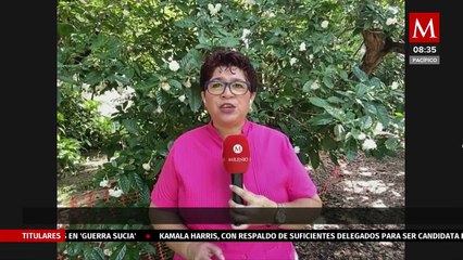 Cuatro personas heridas deja la Xiqueñada en el pueblo mágico de Xico, Veracruz