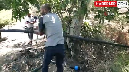Başkan Akın, Erdek'te 20 bin zeytin ağacını suya kavuşturdu