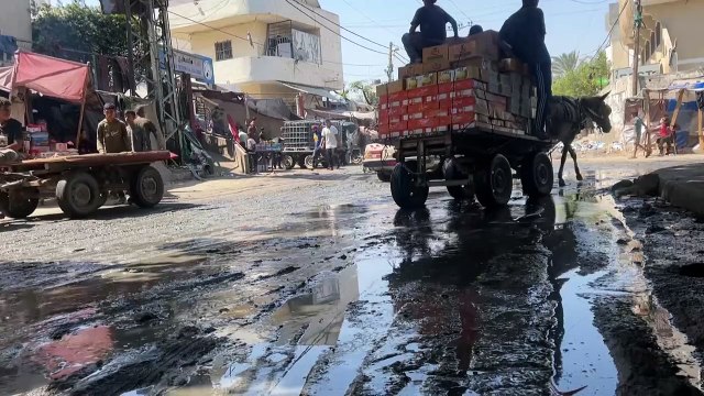 La OMS está muy preocupada por posibles epidemias en Gaza