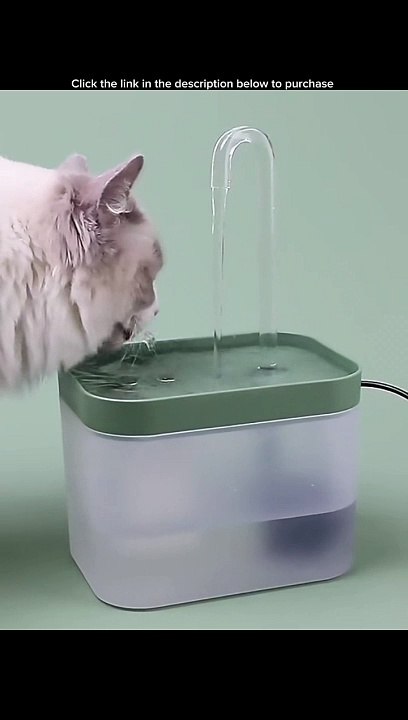 Animal Gadgets
