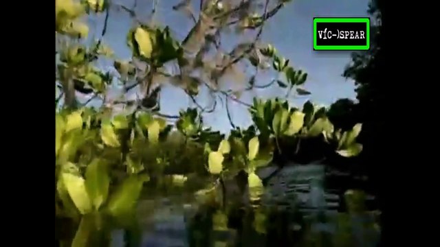 Misión Tierra: Mozambique, Una Aventura Biológica- Documental (1996) Español Latino