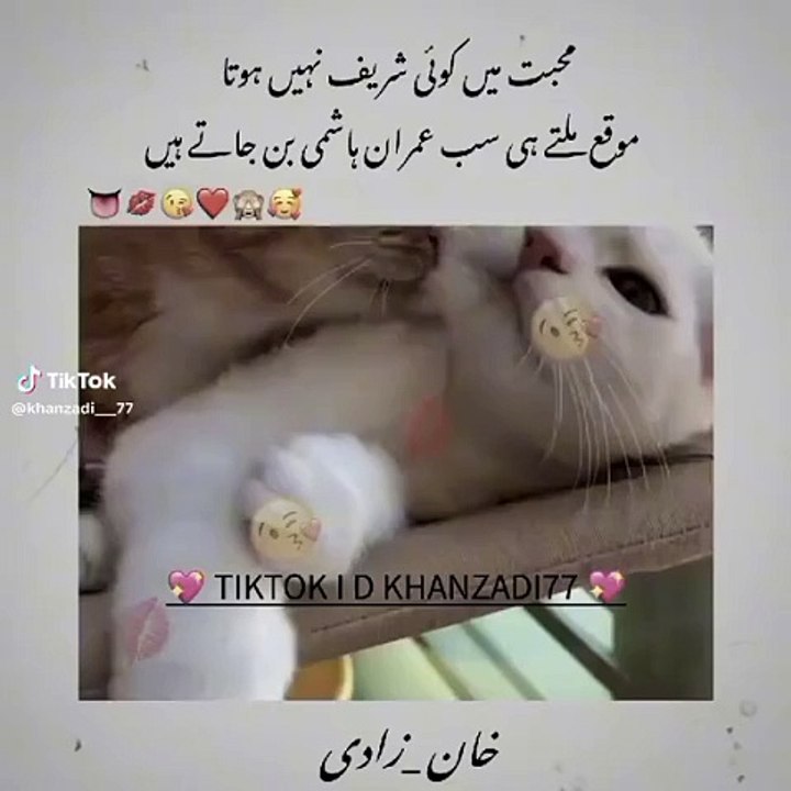 f3fbda96fc203b99426d66ee6071336f