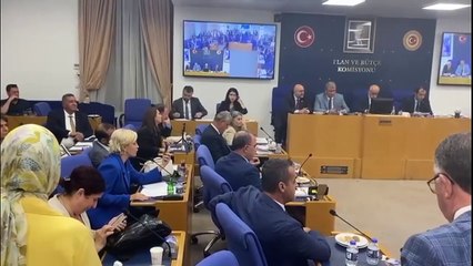 Sokak hayvanlarına 'ötanazi' teklifi komisyonda kabul edildi