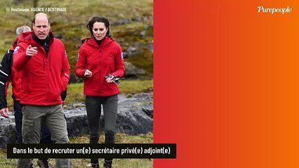Vous rêvez de travailler pour Kate Middleton et William ? Un poste est à pourvoir, une compétence rare et précise demandée