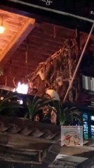 Critican al “Canelo” Álvarez por actitud grosera de acompañante, lanzó agua a fans que pedían una foto