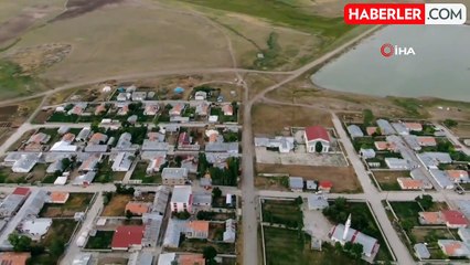 Yavru leylekler uçmaya hazırlanıyor