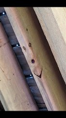 Seeing Faces in Everyday Objects - Part 81