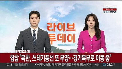 [속보] 합참 "북한, 쓰레기풍선 또 부양…경기북부로 이동 중"