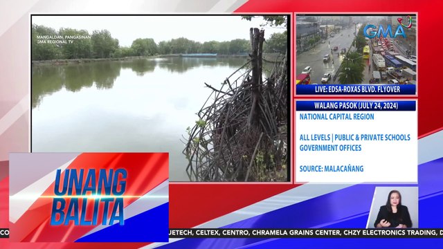 Libo-libong bangus, nangamatay at lumutang dahil sa pag-uulan | Unang Balita