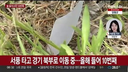 대북확성기 가동에도…북, 사흘 만에 10차 쓰레기풍선