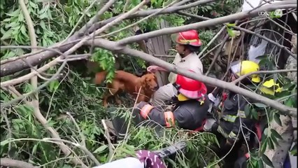 Saldo de un hombre fallecido dejó un derrumbe en la Colonia Lomas de Paraíso en Guadalajara