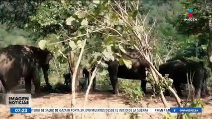 Top 5 de las ciudades del mundo más bonitas e interesantes para conocer