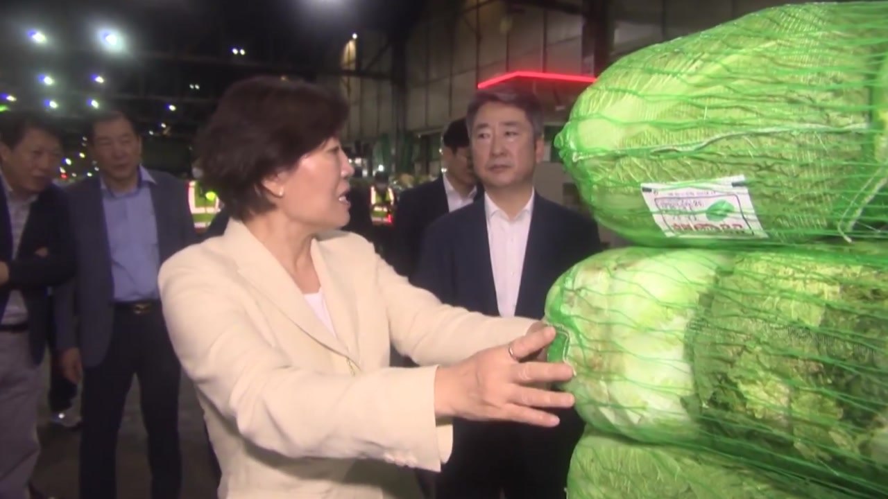 농식품부, '여름 배추' 비축상황 점검...재배면적 감소로 생산량↓ / YTN