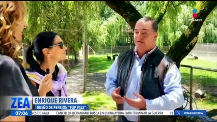 Pensión "Pup pals", una opción para tu perrito si vas a salir de vacaciones