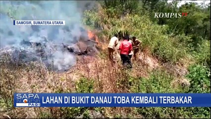 Download Video: Lahan di Bukit Danau Toba Kembali Terbakar