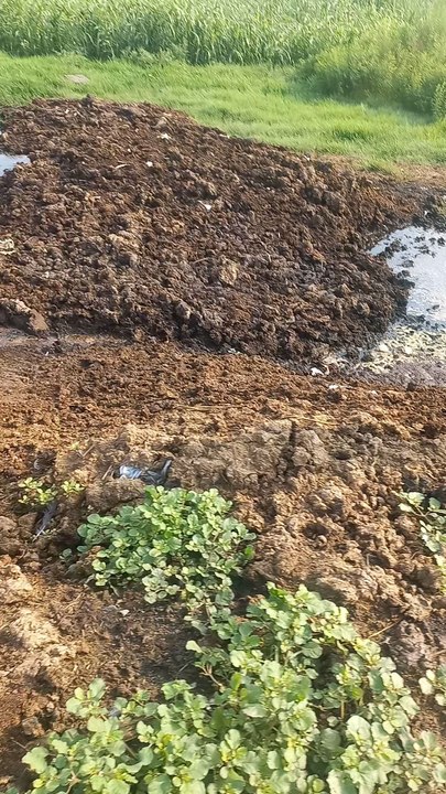 Weaste of beflow in village pakistan