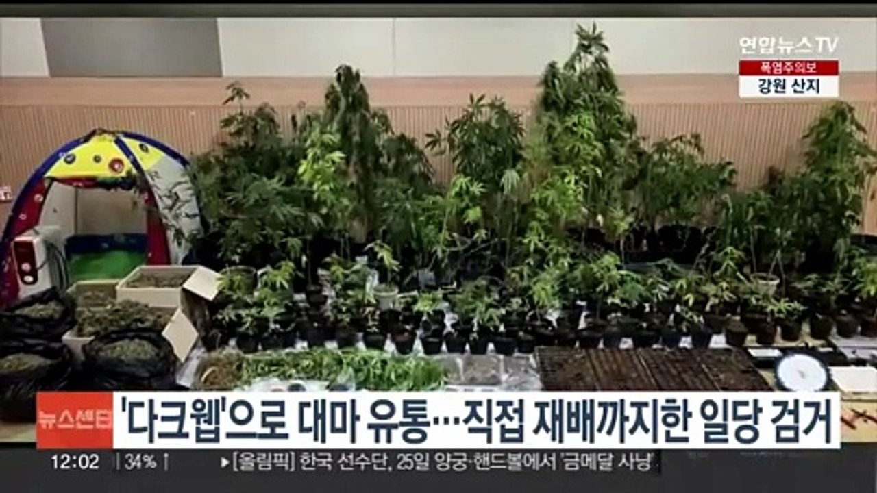 '다크웹'으로 대마 유통 일당 검거…직접 재배까지