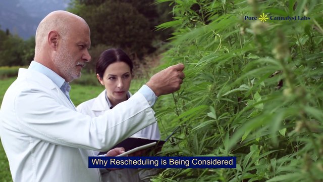 What Does Rescheduling Cannabis Mean for the Cannabis Industry?