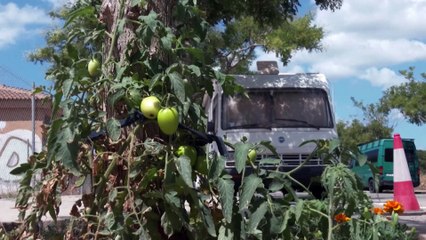 Mallorcans live in caravans as tourists snap up housing