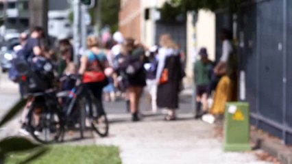 New changes to NSW primary school curriculum revealed