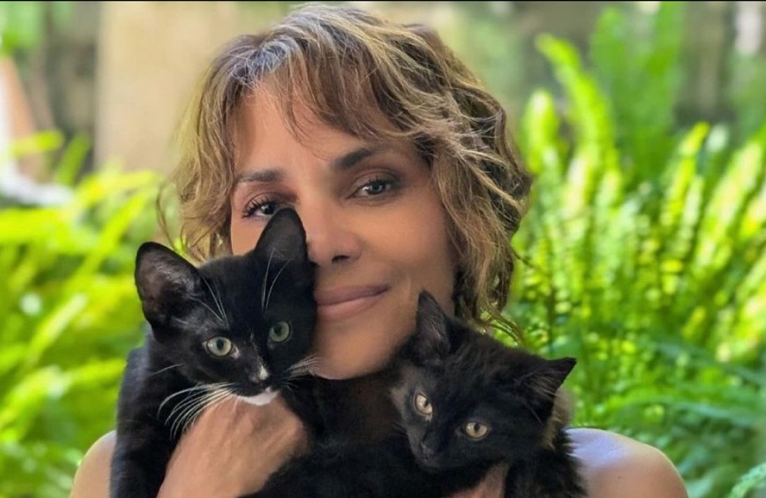 Halle Berry strips and covers chest with two of her felines to mark 'Catwoman' 20th anniversary