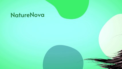 #naturenova Hair Growth Oil | Anti Hair Fall Oil | Best Hair Oil | Hair Oil with Vitamin E & C