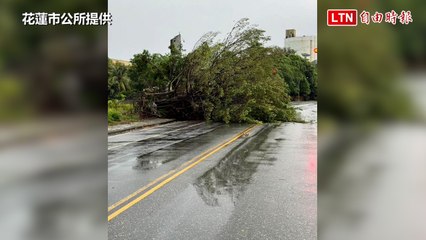 凱米颱風侵襲花蓮！強風引發樹倒與海浪翻滾 🌊