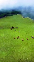 Feel_The_vibes__view_Nasheed________Repost_only_bro__#nasheedsislamic_#naturebeauty_#tirahbeautyview_#vibes_#mountainsview_#horse_#1millionaudit