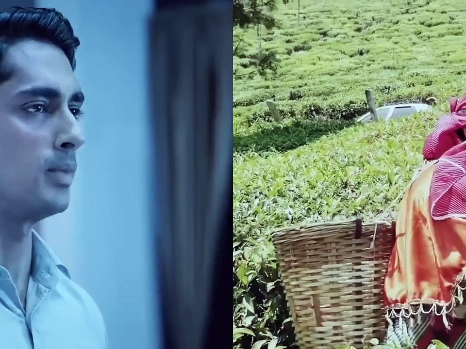 इस बंदे की सूंघने की पावर ने सबकी बजा दी...#shorts #trending #bolywood #hollywood