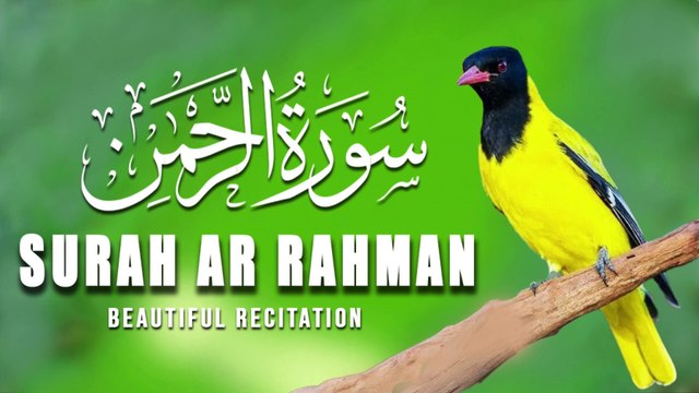 Surah Rahman (full) | سورة الرحمن | Tilawat e Quran Surah Rahman |Quran |Tilawat