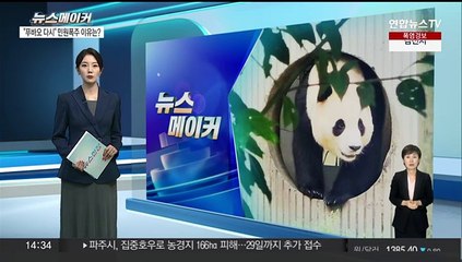 [뉴스메이커] "푸바오 다시 데려와달라" 민원 폭주 이유는?