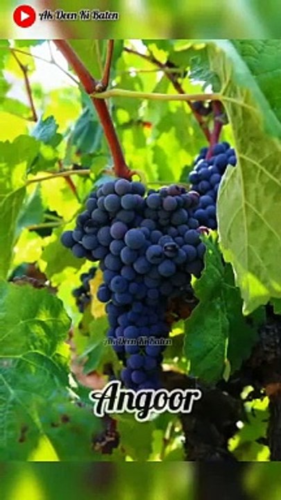 Islamic Status Tips for Muslim | Deen ki baten | Islamic vedio