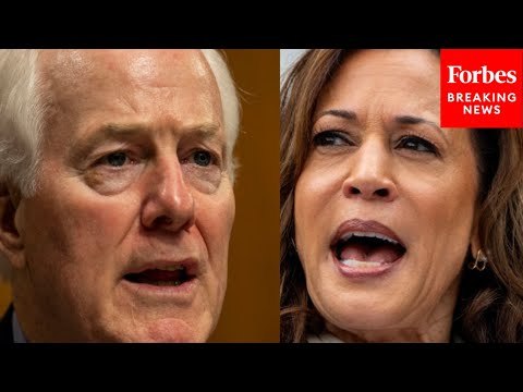 John Cornyn Accuses VP Harris Of Skipping Netanyahu Speech 'Just To Get More Airtime On Cable'