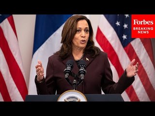 'Not A Grand Exercise In Democracy': Presidential Historian Reacts To Criticism Of Harris Candidacy