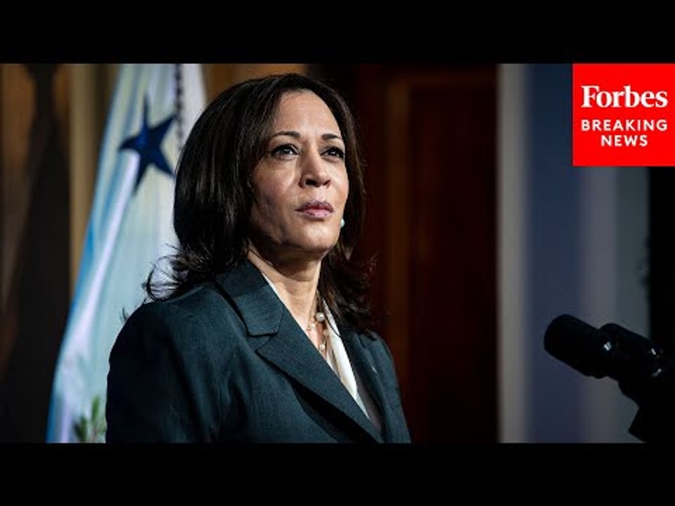'We Could Make History': Professor Comments On The Historic Nature Of Kamala Harris' Candidacy